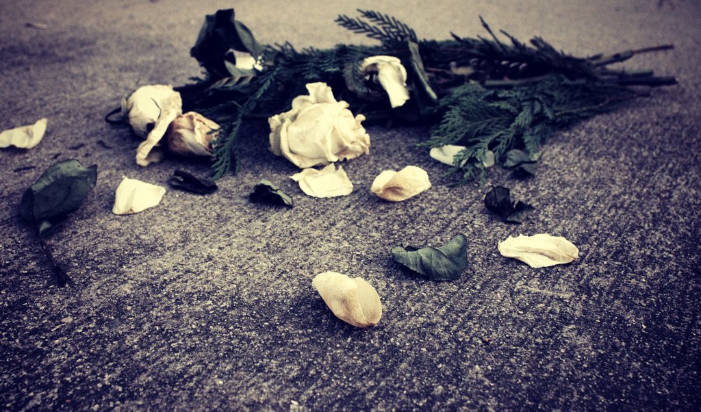 fading_away_by_sukidarkshadows-d5mrc2k